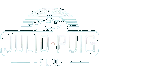 Transportes Julio Puig, S.L.U.